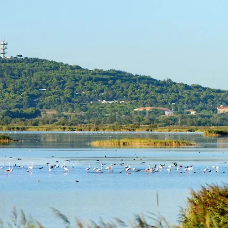 Διαμέρισμα Le Florid-7 By Interhome Agde
